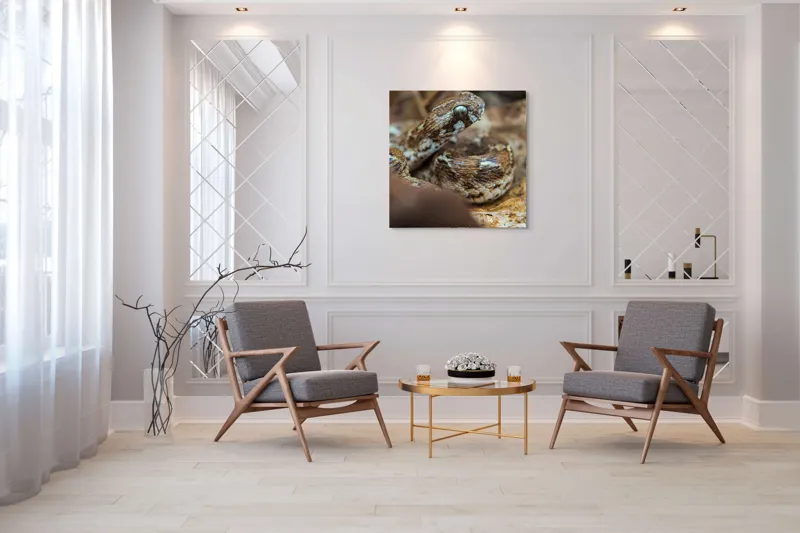 Tablou Canvas, Șarpe, Solzi, Ochi, Culoare, Textură, Frunze, Camuflaj, Natură, Detaliu, Aproape, 100 x 100 cm – poza 7