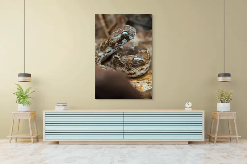 Tablou Canvas, "Nu știu cine este în imagine.", Șarpe, Solzi, Ochi, Culoare, Textură, Frunze, Camuflaj, Natură, Detaliu, Aproape, 100 x 150 cm – poza 4