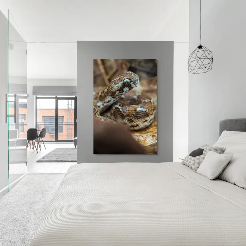 Tablou Canvas, "Nu știu cine este în imagine.", Șarpe, Solzi, Ochi, Culoare, Textură, Frunze, Camuflaj, Natură, Detaliu, Aproape, 100 x 150 cm – poza 5