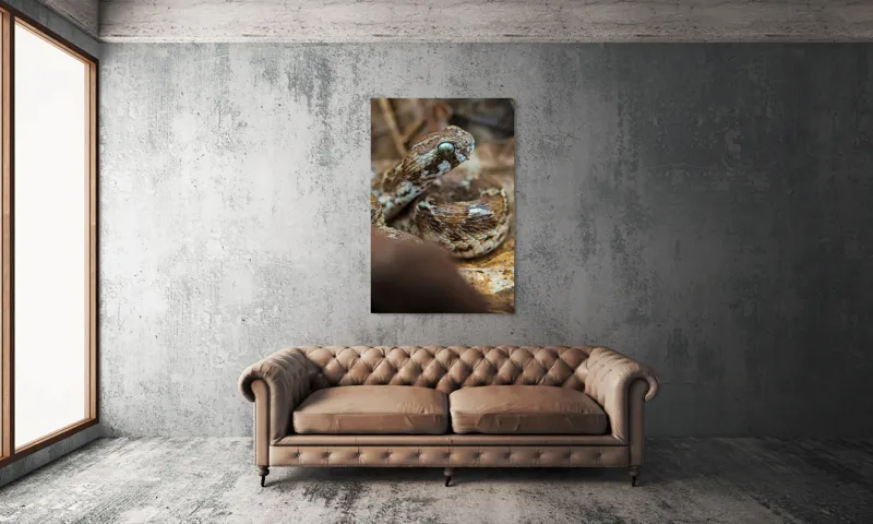 Tablou Canvas, "Nu știu cine este în imagine.", Șarpe, Solzi, Ochi, Culoare, Textură, Frunze, Camuflaj, Natură, Detaliu, Aproape, 100 x 150 cm – poza 6