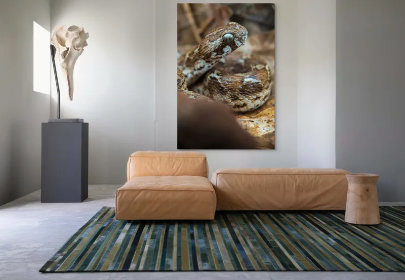 Tablou Canvas, "Nu știu cine este în imagine.", Șarpe, Solzi, Ochi, Culoare, Textură, Frunze, Camuflaj, Natură, Detaliu, Aproape, 100 x 150 cm – poza 7