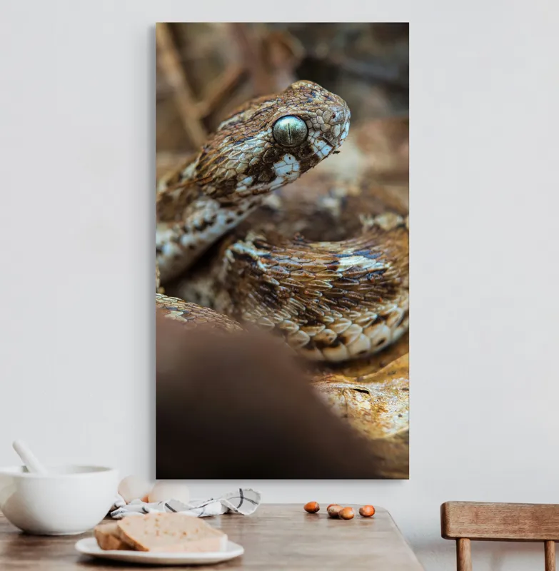 Tablou Canvas, Șarpe, Solzi, Ochi, Culoare, Textură, Frunze, Camuflaj, Natură, Detaliu, Aproape, 50 x 90 cm – poza 3