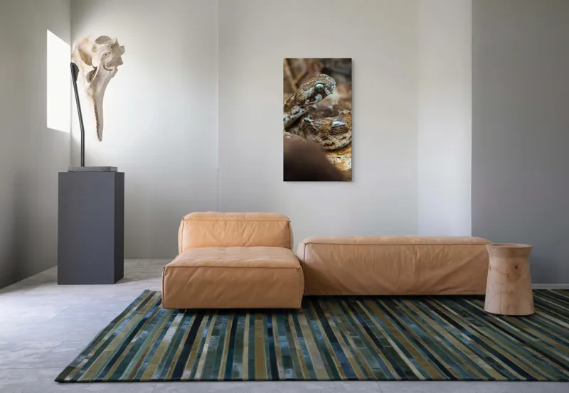 Tablou Canvas, Șarpe, Solzi, Ochi, Culoare, Textură, Frunze, Camuflaj, Natură, Detaliu, Aproape, 50 x 90 cm – poza 5