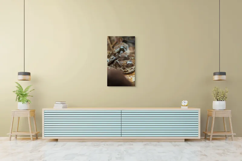 Tablou Canvas, Șarpe, Solzi, Ochi, Culoare, Textură, Frunze, Camuflaj, Natură, Detaliu, Aproape, 50 x 90 cm – poza 6