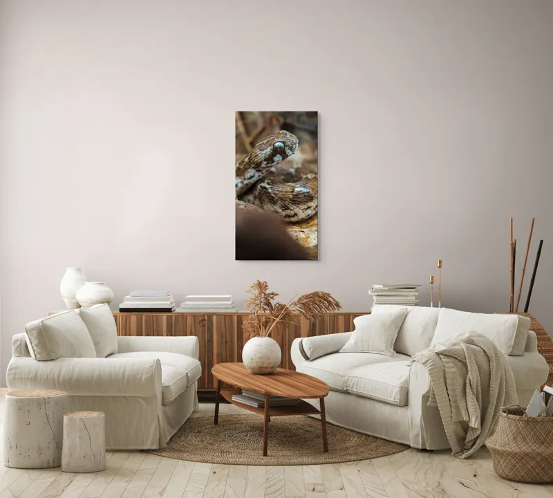 Tablou Canvas, Șarpe, Solzi, Ochi, Culoare, Textură, Frunze, Camuflaj, Natură, Detaliu, Aproape, 50 x 90 cm – poza 7