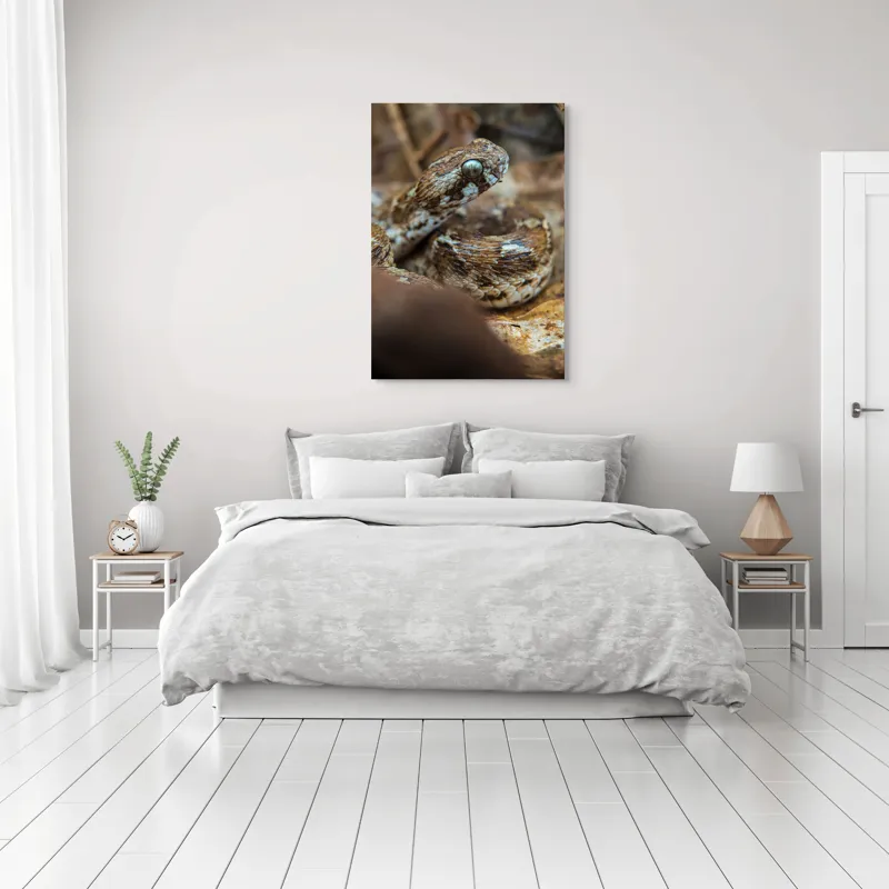 Tablou Canvas, Șarpe, Solzi, Ochi, Culoare, Textură, Frunze, Camuflaj, Natură, Detaliu, Aproape, 70 x 100 cm – poza 3