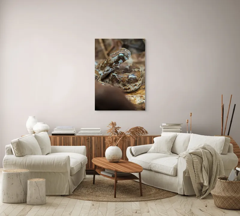 Tablou Canvas, Șarpe, Solzi, Ochi, Culoare, Textură, Frunze, Camuflaj, Natură, Detaliu, Aproape, 70 x 100 cm – poza 4