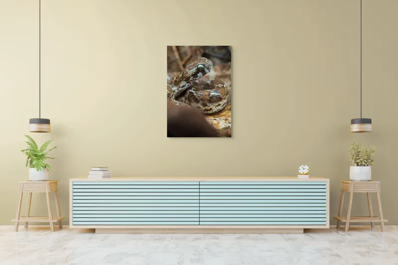 Tablou Canvas, Șarpe, Solzi, Ochi, Culoare, Textură, Frunze, Camuflaj, Natură, Detaliu, Aproape, 70 x 100 cm – poza 5