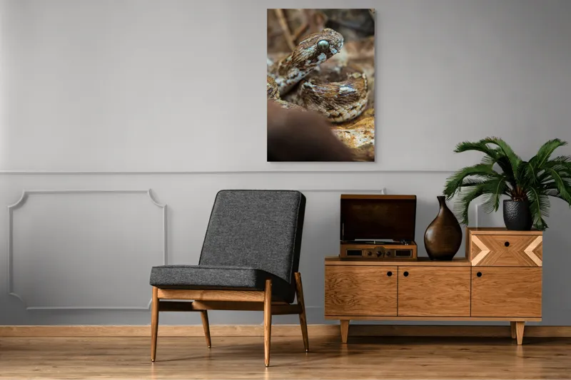 Tablou Canvas, Șarpe, Solzi, Ochi, Culoare, Textură, Frunze, Camuflaj, Natură, Detaliu, Aproape, 70 x 100 cm – poza 6