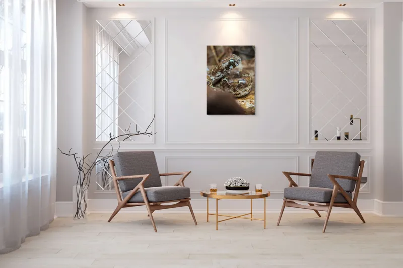 Tablou Canvas, Șarpe, Solzi, Ochi, Culoare, Textură, Frunze, Camuflaj, Natură, Detaliu, Aproape, 70 x 100 cm – poza 8