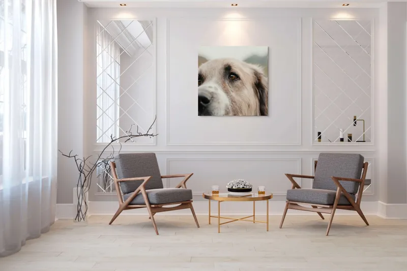Tablou Canvas, "Privirea unui ciobănesc înțelept", 100 x 100 cm – poza 7