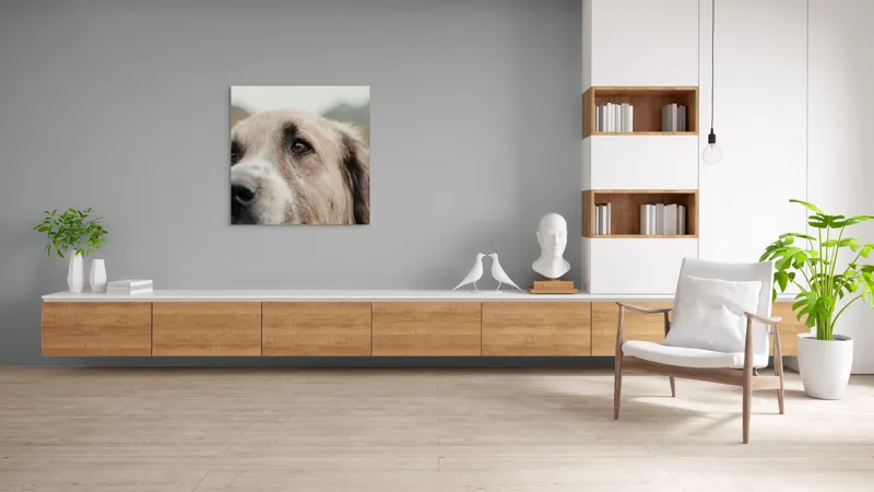 Tablou Canvas, "Privirea unui ciobănesc înțelept", 100 x 100 cm – poza 8