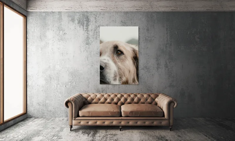 Tablou Canvas, "Privirea unui ciobănesc înțelept", 100 x 150 cm – poza 6