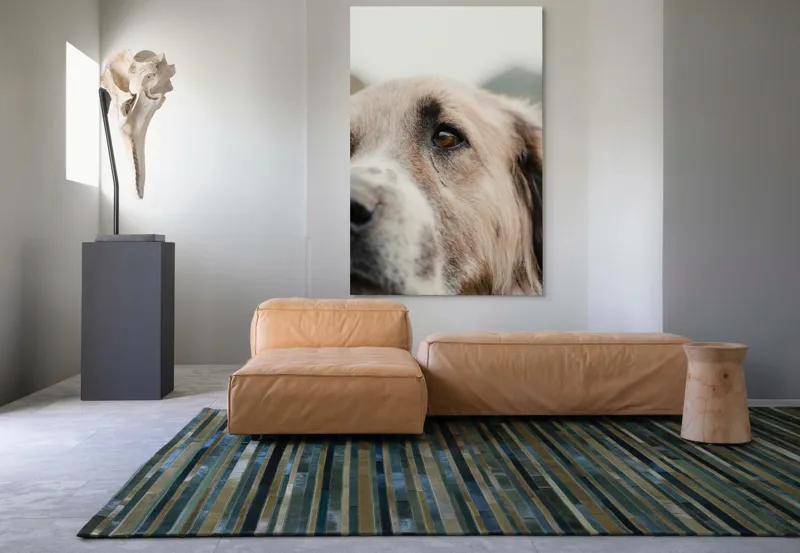 Tablou Canvas, "Privirea unui ciobănesc înțelept", 100 x 150 cm – poza 7