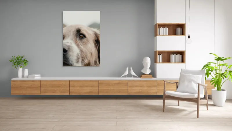 Tablou Canvas, "Privirea unui ciobănesc înțelept", 100 x 150 cm – poza 8