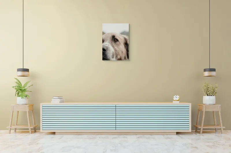 Tablou Canvas, "Privirea unui ciobănesc înțelept", 50 x 70 cm – poza 6