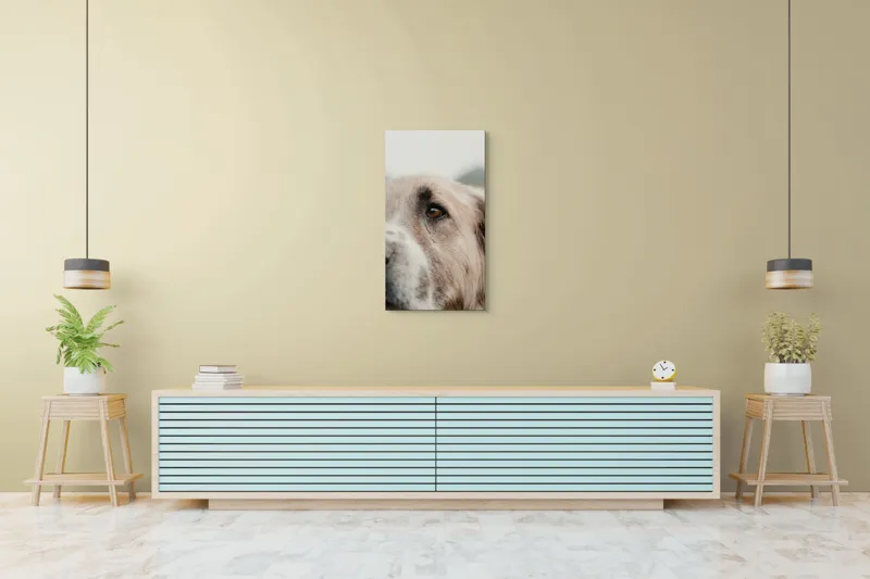 Tablou Canvas, "Privirea unui ciobănesc înțelept", 50 x 90 cm – poza 6