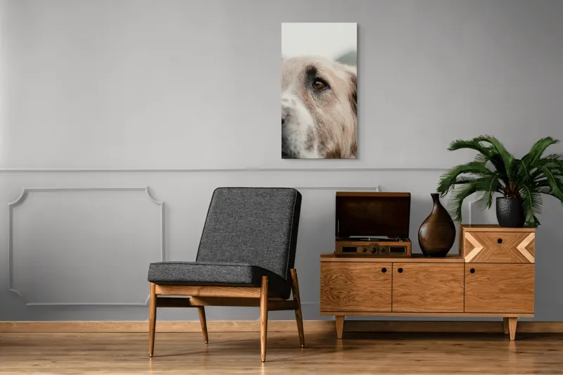 Tablou Canvas, "Privirea unui ciobănesc înțelept", 50 x 90 cm – poza 8