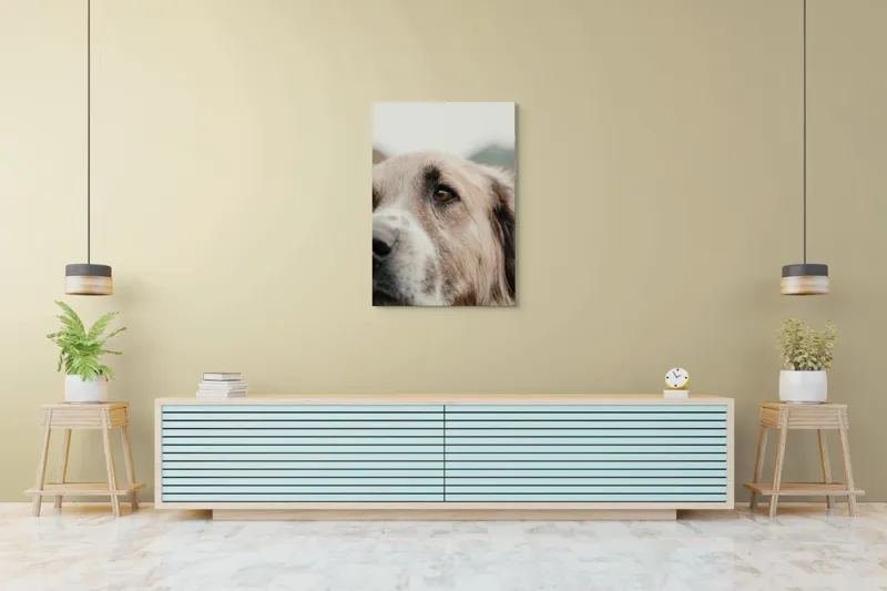 Tablou Canvas, "Privirea unui ciobănesc înțelept", 70 x 100 cm – poza 5