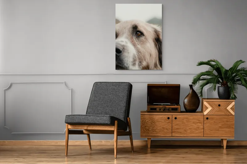 Tablou Canvas, "Privirea unui ciobănesc înțelept", 70 x 100 cm – poza 6