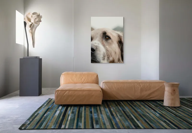 Tablou Canvas, "Privirea unui ciobănesc înțelept", 70 x 100 cm – poza 7
