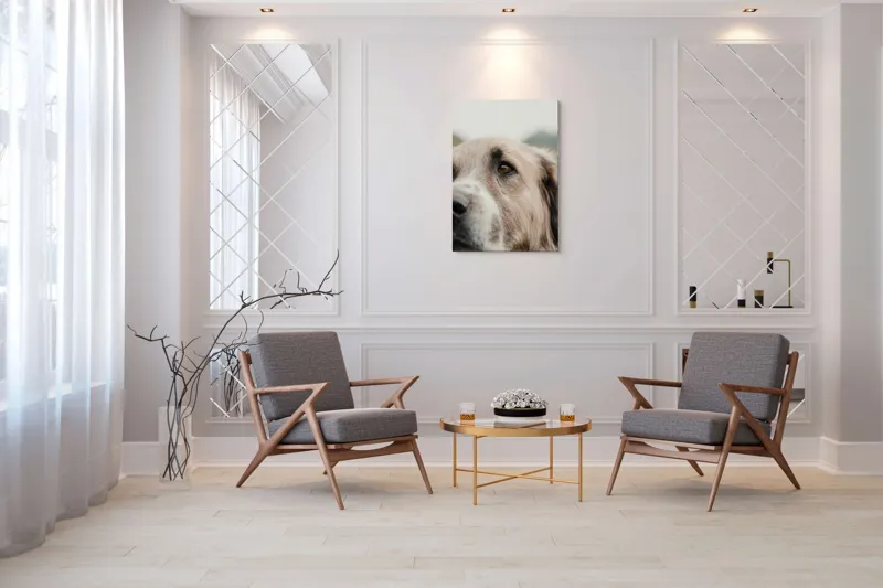 Tablou Canvas, "Privirea unui ciobănesc înțelept", 70 x 100 cm – poza 8