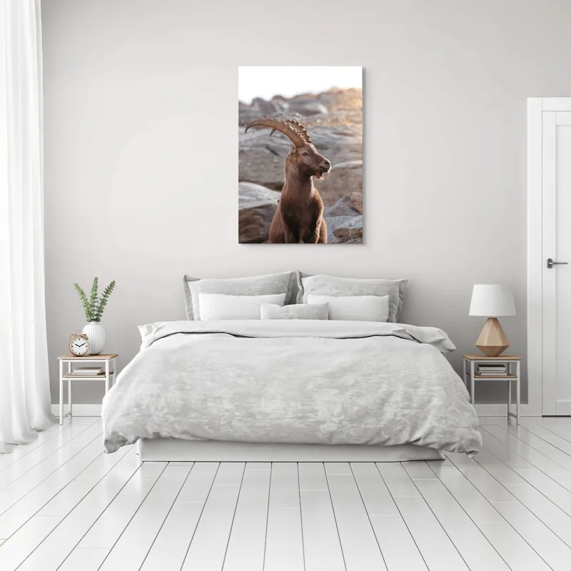 Tablou Canvas, "Capra neagră pe stânci bătrâne", Stânci, Cerb, Coarne, Natură, Lumină, Serenitate, Rocă, Frumusețe, Peisaj, Majestuos, 70 x 100 cm – poza 3