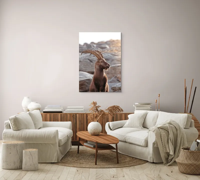 Tablou Canvas, "Capra neagră pe stânci bătrâne", Stânci, Cerb, Coarne, Natură, Lumină, Serenitate, Rocă, Frumusețe, Peisaj, Majestuos, 70 x 100 cm – poza 4