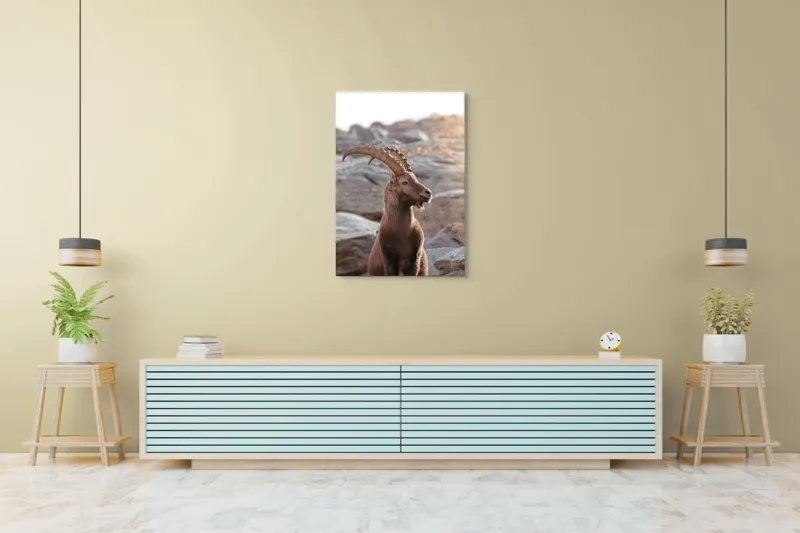 Tablou Canvas, "Capra neagră pe stânci bătrâne", Stânci, Cerb, Coarne, Natură, Lumină, Serenitate, Rocă, Frumusețe, Peisaj, Majestuos, 70 x 100 cm – poza 5