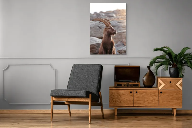 Tablou Canvas, "Capra neagră pe stânci bătrâne", Stânci, Cerb, Coarne, Natură, Lumină, Serenitate, Rocă, Frumusețe, Peisaj, Majestuos, 70 x 100 cm – poza 6