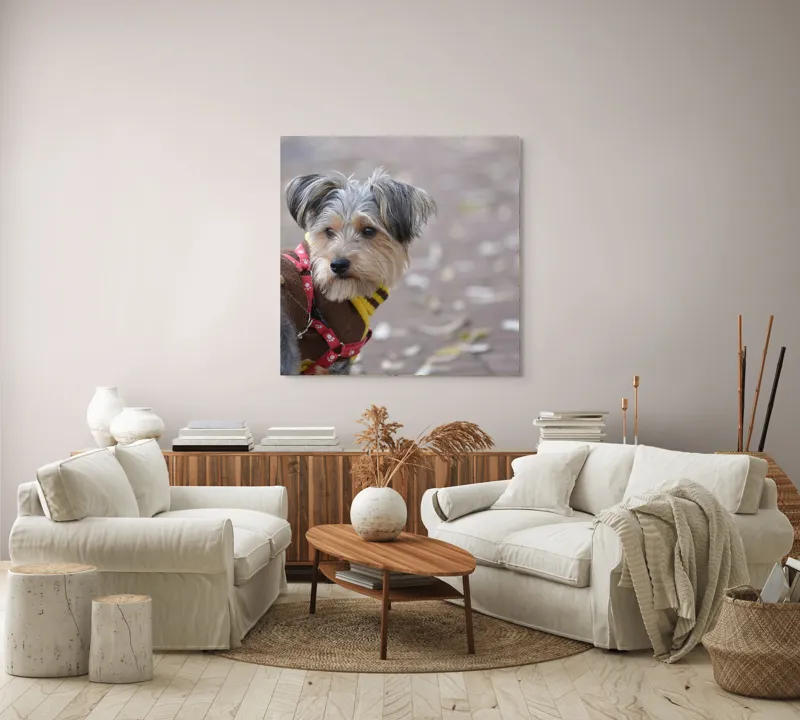 Tablou Canvas, "Câinele în haină de toamnă copilăroasă", Câine, Pulover, Lesă, Frunze, Blană, Drăgălaș, Toamnă, 100 x 100 cm – poza 3