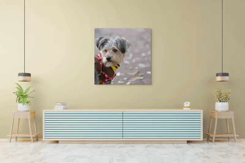 Tablou Canvas, "Câinele în haină de toamnă copilăroasă", Câine, Pulover, Lesă, Frunze, Blană, Drăgălaș, Toamnă, 100 x 100 cm – poza 5