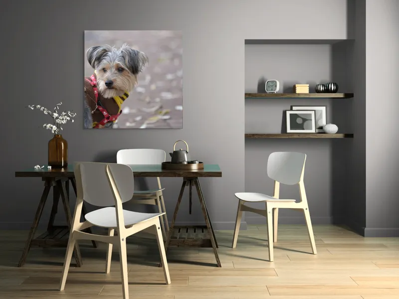 Tablou Canvas, "Câinele în haină de toamnă copilăroasă", Câine, Pulover, Lesă, Frunze, Blană, Drăgălaș, Toamnă, 100 x 100 cm – poza 6