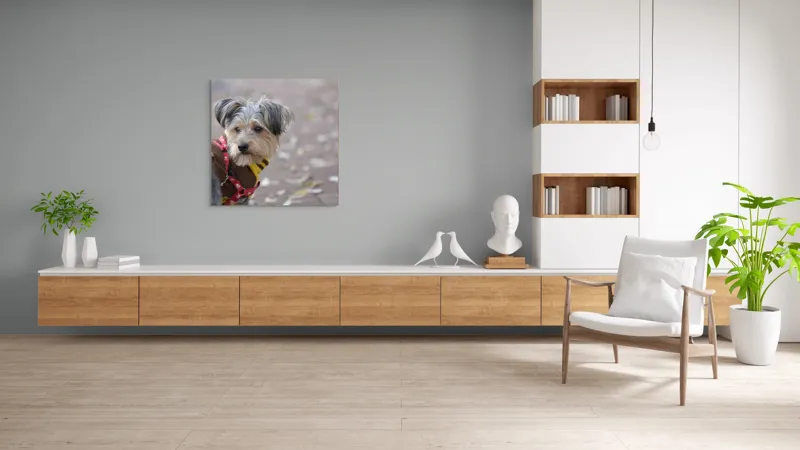 Tablou Canvas, "Câinele în haină de toamnă copilăroasă", Câine, Pulover, Lesă, Frunze, Blană, Drăgălaș, Toamnă, 100 x 100 cm – poza 8