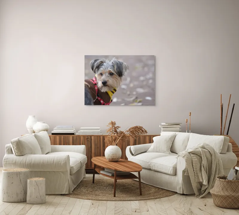Tablou Canvas, "Câinele în haină de toamnă copilăroasă", Câine, Pulover, Lesă, Frunze, Blană, Drăgălaș, Toamnă, 100 x 70 cm – poza 3