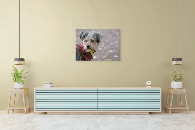 Tablou Canvas, "Câinele în haină de toamnă copilăroasă", Câine, Pulover, Lesă, Frunze, Blană, Drăgălaș, Toamnă, 100 x 70 cm – poza 4