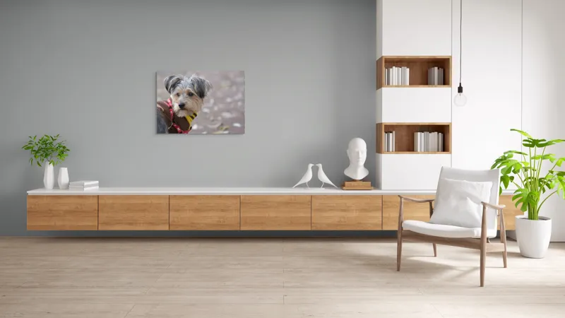 Tablou Canvas, "Câinele în haină de toamnă copilăroasă", Câine, Pulover, Lesă, Frunze, Blană, Drăgălaș, Toamnă, 100 x 70 cm – poza 6