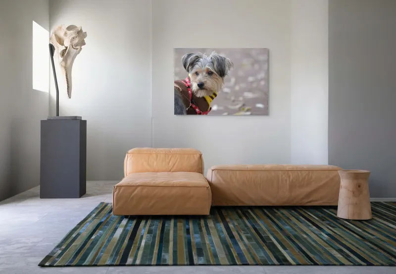 Tablou Canvas, "Câinele în haină de toamnă copilăroasă", Câine, Pulover, Lesă, Frunze, Blană, Drăgălaș, Toamnă, 100 x 70 cm – poza 7