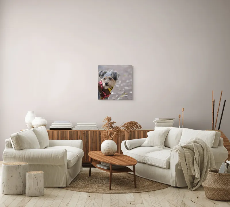 Tablou Canvas, "Câinele în haină de toamnă copilăroasă", Câine, Pulover, Lesă, Frunze, Blană, Drăgălaș, Toamnă, 50 x 50 cm – poza 7