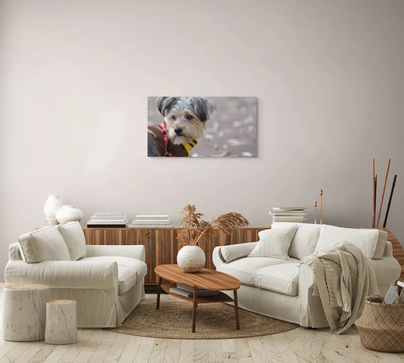 Tablou Canvas, "Câinele în haină de toamnă copilăroasă", Câine, Pulover, Lesă, Frunze, Blană, Drăgălaș, Toamnă, 90 x 50 cm – poza 4