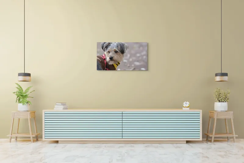 Tablou Canvas, "Câinele în haină de toamnă copilăroasă", Câine, Pulover, Lesă, Frunze, Blană, Drăgălaș, Toamnă, 90 x 50 cm – poza 5