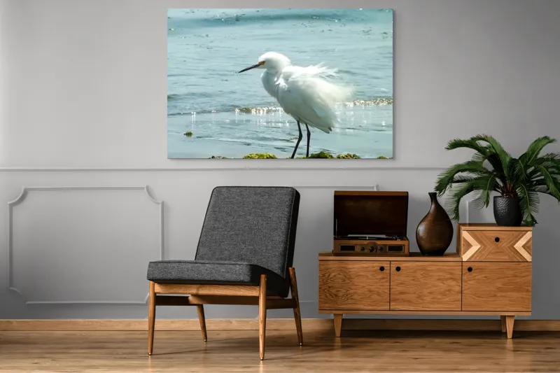 Tablou Canvas, "Egreta pe malul mării albastre", Pasăre, Plajă, Apă, Valuri, Alge, Reflecții, Pene, Bețele, Ocean, Lumină, 150 x 100 cm – poza 8