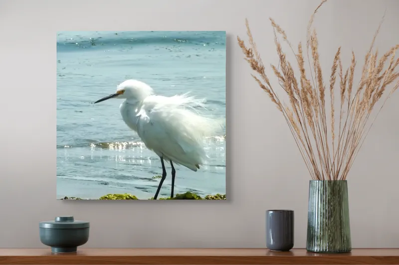 Tablou Canvas, "Egreta pe malul mării albastre", Pasăre, Plajă, Apă, Valuri, Alge, Reflecții, Pene, Bețele, Ocean, Lumină, 50 x 50 cm – poza 4