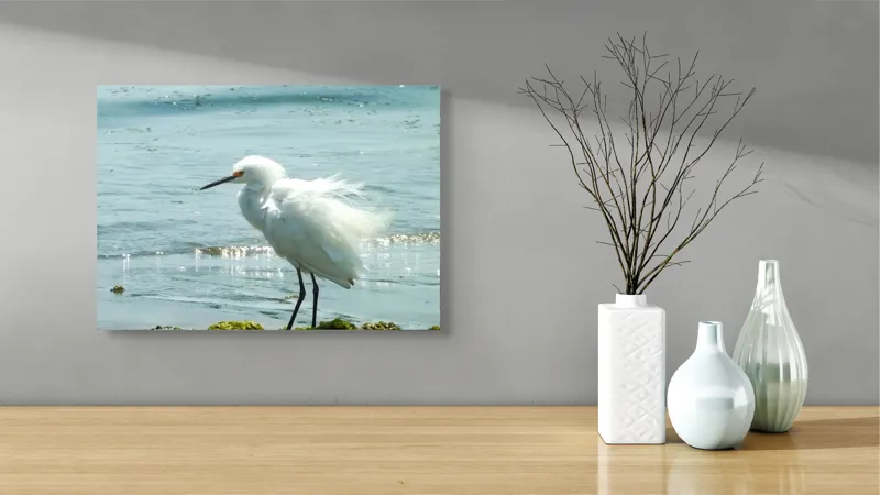 Tablou Canvas, "Egreta pe malul mării albastre", Pasăre, Plajă, Apă, Valuri, Alge, Reflecții, Pene, Bețele, Ocean, Lumină, 54 x 39 cm – poza 3
