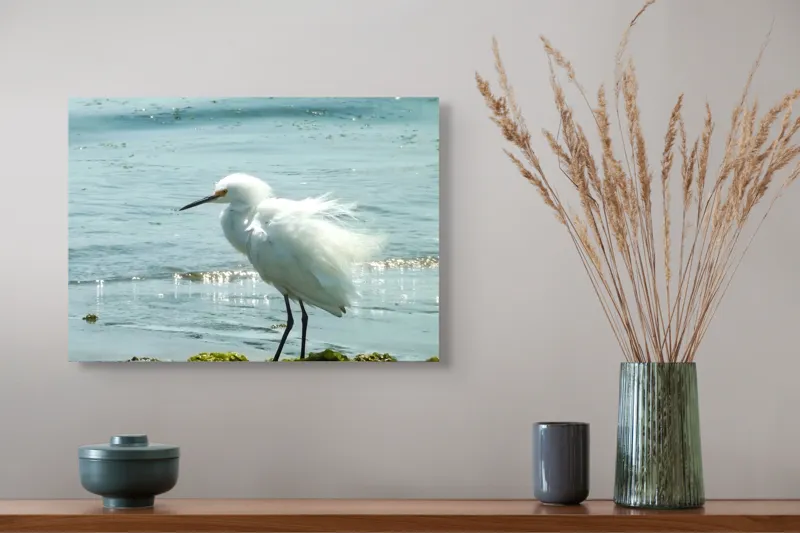 Tablou Canvas, "Egreta pe malul mării albastre", Pasăre, Plajă, Apă, Valuri, Alge, Reflecții, Pene, Bețele, Ocean, Lumină, 54 x 39 cm – poza 4