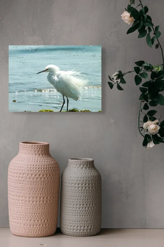 Tablou Canvas, "Egreta pe malul mării albastre", Pasăre, Plajă, Apă, Valuri, Alge, Reflecții, Pene, Bețele, Ocean, Lumină, 54 x 39 cm – poza 8