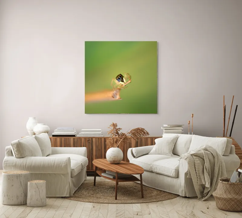 Tablou Canvas, "Micuța păianjen pe o ramură", Arahnidă, Fragilitate, Echilibru, Verde, Microscopic, Natură, Focalizare, Detaliu, 100 x 100 cm – poza 3