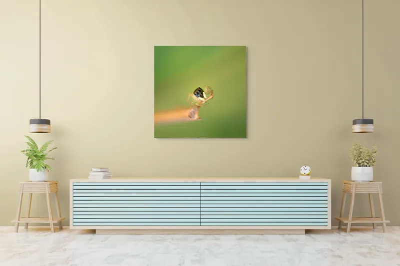 Tablou Canvas, "Micuța păianjen pe o ramură", Arahnidă, Fragilitate, Echilibru, Verde, Microscopic, Natură, Focalizare, Detaliu, 100 x 100 cm – poza 5