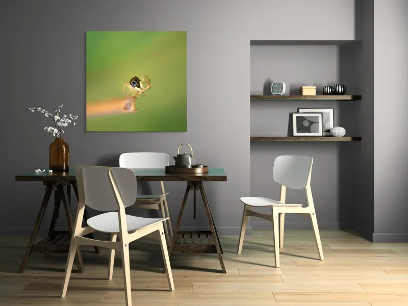 Tablou Canvas, "Micuța păianjen pe o ramură", Arahnidă, Fragilitate, Echilibru, Verde, Microscopic, Natură, Focalizare, Detaliu, 100 x 100 cm – poza 6