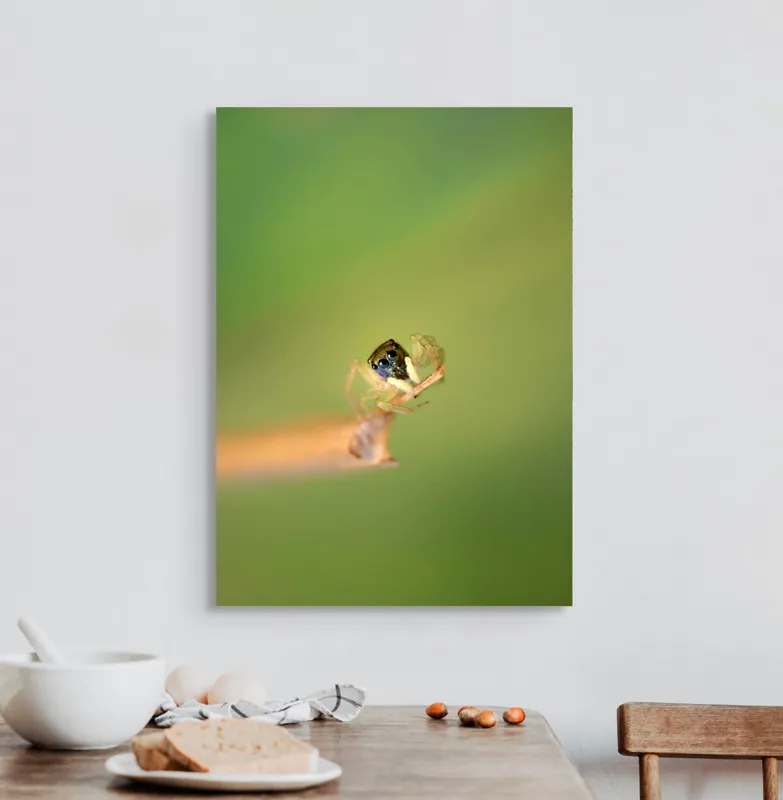 Tablou Canvas, "Micuța păianjen pe o ramură", Arahnidă, Fragilitate, Echilibru, Verde, Microscopic, Natură, Focalizare, Detaliu, 50 x 70 cm – poza 3
